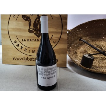 Viña Azeniche Syrah